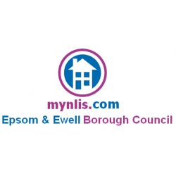 Epsom & Ewell LLC1 and Con29 Search